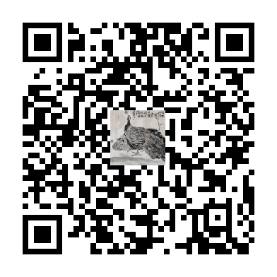 待添加