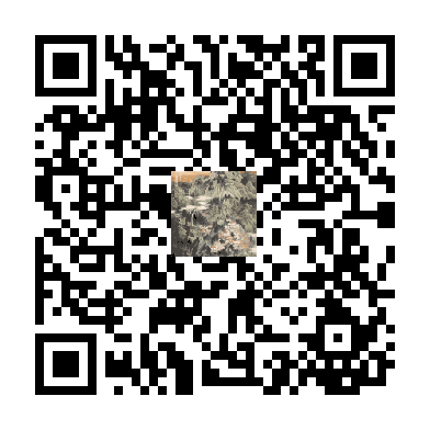 待添加